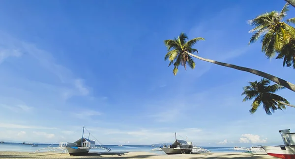 Aşağıdan güzel görünen yeşil palmiye ağaçları. Sahilde mavi deniz ve bulutlu gökyüzü manzarası.