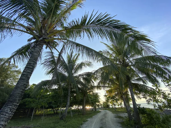 Kayalık bir uçurumu, yeşil otları ve palmiyeleri olan güzel bir sahil. Güneşli yaz havası. Mavi gökyüzüne ve beyaz bulutlara karşı denizlerde gemiler, yatlar ve gemiler