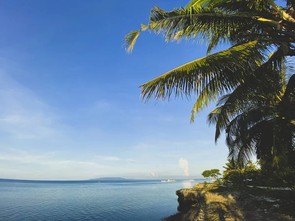 Bellissimo paesaggio della costa rocciosa con palme primo piano. Barche sullo sfondo del mare, cielo blu.Tendenza ombra — Foto Stock
