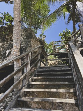 Tropik adalarda eski ahşap bir merdiven. Palmiye ağaçlarının arasında bir adada. Merdivenler yukarı çıkıyor. Taşların yanındaki ağaçlar