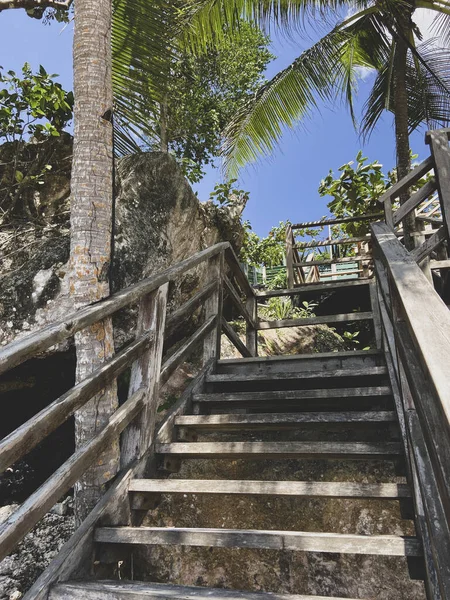 Tropik adalarda eski ahşap bir merdiven. Palmiye ağaçlarının arasında bir adada. Merdivenler yukarı çıkıyor. Taşların yanındaki ağaçlar