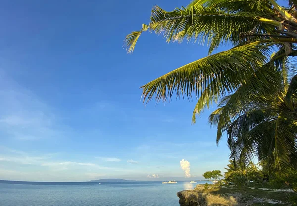 Palmiye ağaçlarıyla çevrili kayalık sahilin güzel manzarası. Denizlerde gemiler, yatlar ve gemiler. Ufuk mavi gökyüzü ve beyaz bulutlar..