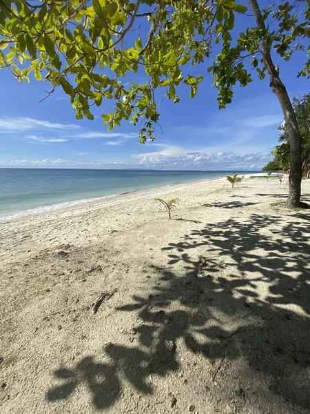 Beyaz kumlu bir sahilde kelebek formunda güzel bir gölge. Turkuaz bir denizin arka planında yeşil yapraklı bir ağaç ve bulutlu mavi bir gökyüzü..