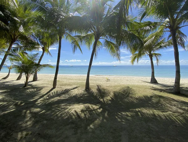 Bellissimo Paesaggio Palmeto Una Spiaggia Sabbiosa Resort Paradisiaco Sullo Sfondo — Foto Stock