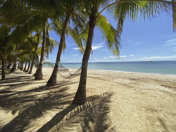 Rede Relaxante Uma Floresta Palmeiras Bela Paisagem Uma Praia Areia — Fotografia de Stock