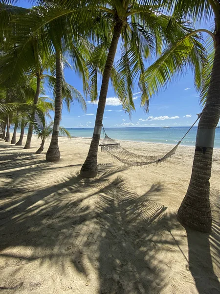 Amaca Relax Pende Tra Palme Paesaggio Bellissimo Resort Paradisiaco Con — Foto Stock