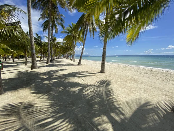 Cennet tatil köyündeki güzel palmiye ağaçları. Beyaz kumlu sahildeki palmiye ağaçlarının gölgeleri. Mavi şeffaf denizde dinleniyor..