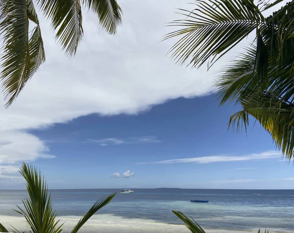 Rami di palma come cornice di un quadro incredibilmente bello con un paesaggio paradisiaco di relax. palme — Foto Stock