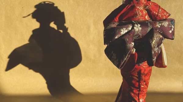 Japon geyşasının silueti. Arka planda heykelciğin gölgesi. Kukla tiyatrosu.