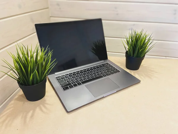 Evde dizüstü bilgisayarda çalışmak için bir yer. Serbest ve iş yeri. Tencerede yeşil çimenler.