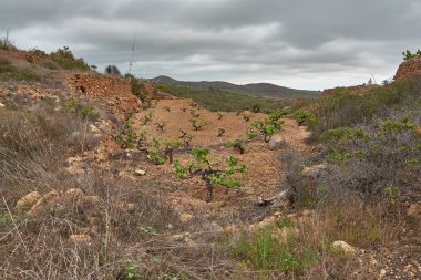 İspanya 'nın Tenerife adasında doğal ve kuru bir yer.