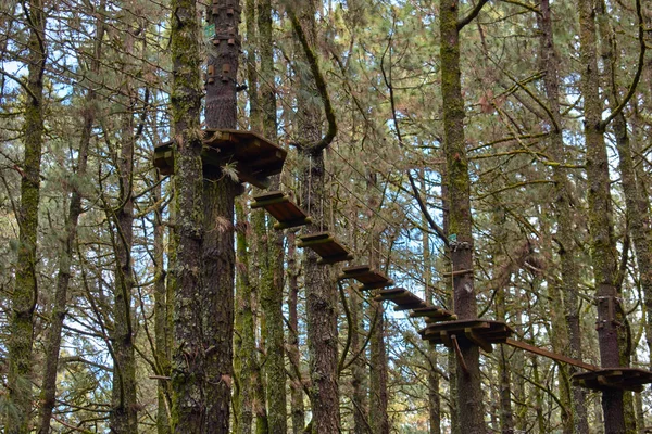 Avonturenpark tussen de bomen van het bos — Stockfoto