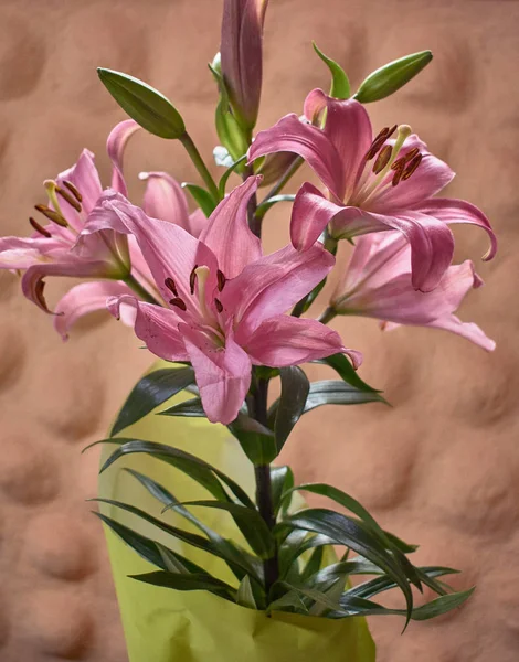 Buquê de flores rosa com um fundo laranja — Fotografia de Stock