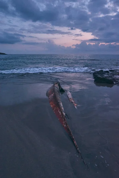 Caleta de Adeje, Tenerife sahilinde batmış küçük bir gemi.