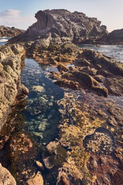 Tenerife 'deki Las Galgas plajı, Kanarya Adaları, İspanya