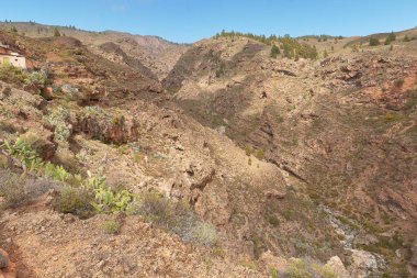 İspanya, Kanarya Adaları, Tenerife 'de bir vadinin derinliği