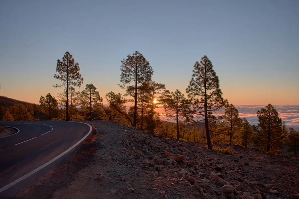 Tenerife 'de gün batımında yol ormanın yanında.