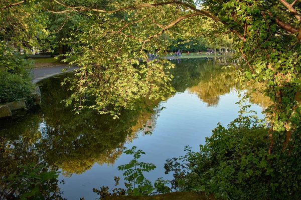 Dublin landscape nature in ireland — Stock Photo, Image