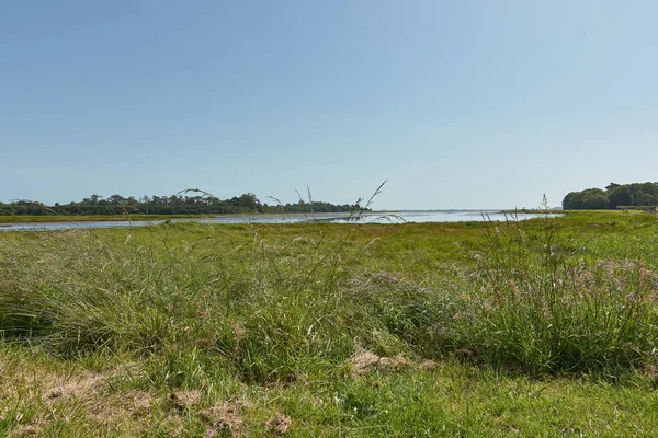 İrlanda 'daki Dublin manzara doğası