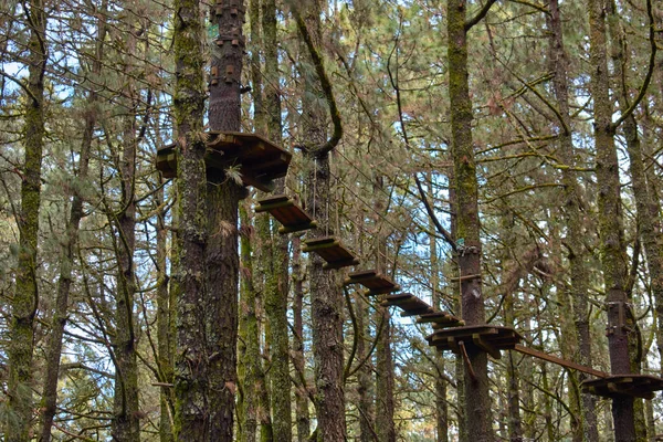 森の木々の間のアドベンチャーパーク — ストック写真