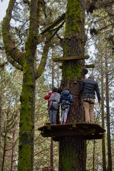 Ormanın ağaçlarının arasına park et.