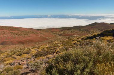 İspanya, Kanarya Adaları, Tenerife 'deki El Teide Ulusal Parkı manzarası