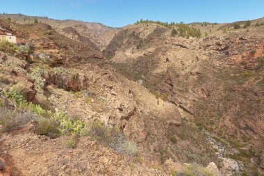 İspanya, Kanarya Adaları, Tenerife 'de bir vadinin derinliği