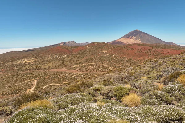 Výhled Národní Park Teide Tenerife Kanárské Ostrovy Španělsko — Stock fotografie