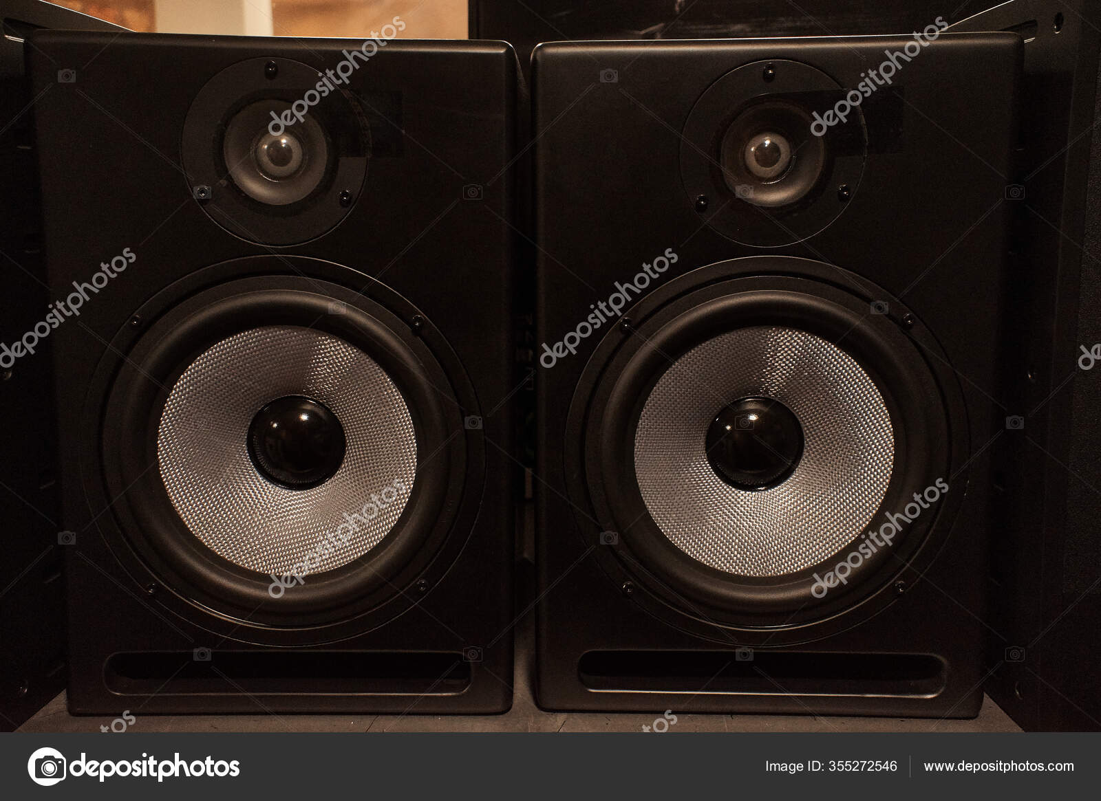professional audio speakers