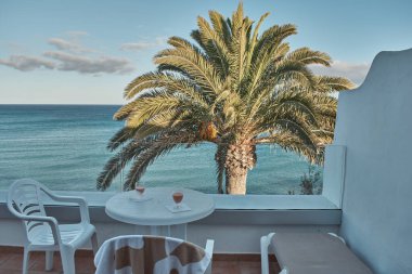 Palmiye ağaçları ve deniz manzaralı bir terasta yemek hazırlığı.