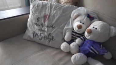 Ayının yumuşak oyuncakları yastıklı bir kanepede yatıyor.
