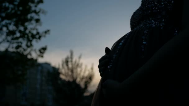 Тёмная Беременная Женщина Гладит Живот — стоковое видео