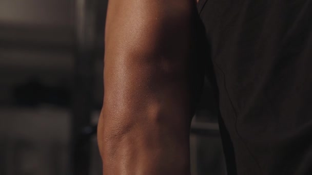 Unterricht Der Turnhalle Die Männlichen Muskeln Werden Aufgepumpt Muskelarbeit Aus — Stockvideo