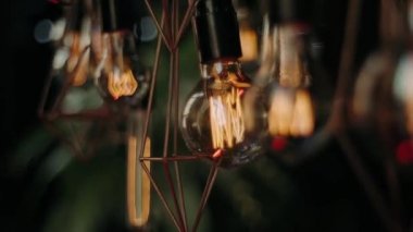 Büyük ampuller yeşil yaprakların arka planına tutunarak sıcak bir atmosfer yaratırlar.