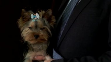 Kanepede oturan bir adam kucağında küçük bir köpek tutuyor..