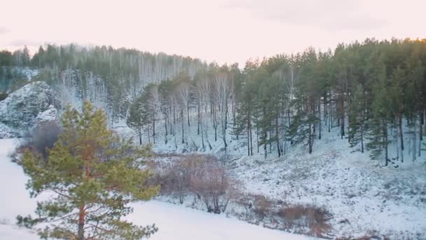 Zimowy Kamieniołom Porośnięty Drzewami — Wideo stockowe