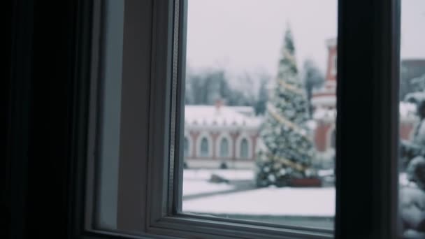 Fönsterutsikt Över Stor Livlig Dekorerad Julgran Vintermorgon — Stockvideo