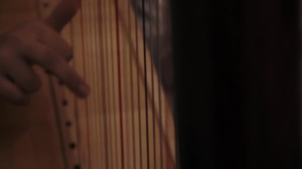 Menina Toca Harpa Com Dedos — Vídeo de Stock