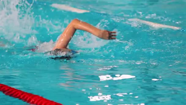 Mavi Yüzme Yarışması Saf — Stok video