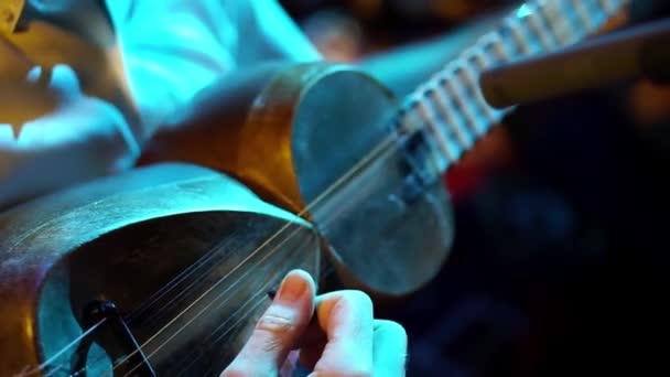 Luthier Maker Atölye Klasik Müzik Aletleri Müzik Aletleri Tar Ulusal — Stok video