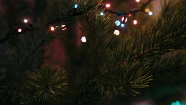 Het Speelgoed Hangt Aan Een Groene Kerstboom Nieuwjaarsgeschenken Kerstmis Nieuwjaarsviering — Stockvideo