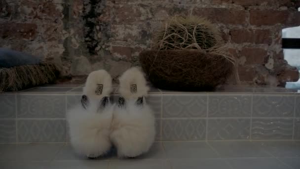 Bílé Nadýchané Domácí Pantofle Ležet Podlaze — Stock video