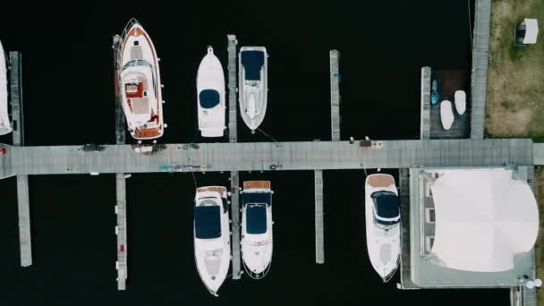 Berth Yachts Sailboats Morning Sea Aero Video Shooting Many Different — Stock Video