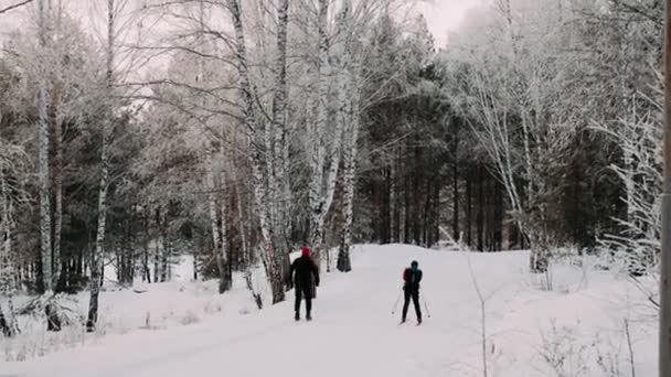 Narciarstwo Zimowe Nartach Jazda Łyżwach Góry Zimą — Wideo stockowe