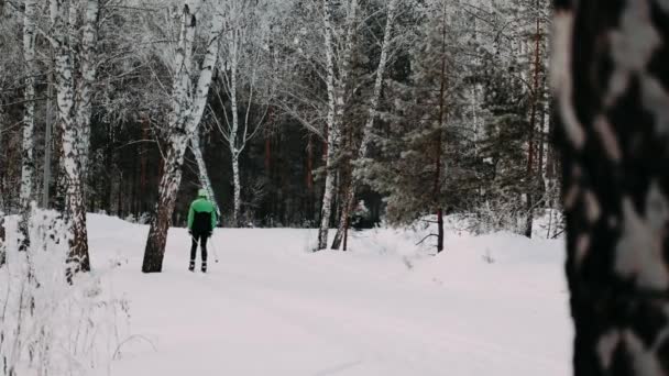 Зимові Лижі Катання Лижах Ковзанярство Гори Взимку — стокове відео