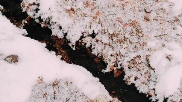 Corrente Montanha Água Inverno Gelo Neve Água Córrego Montanha Córrego — Vídeo de Stock