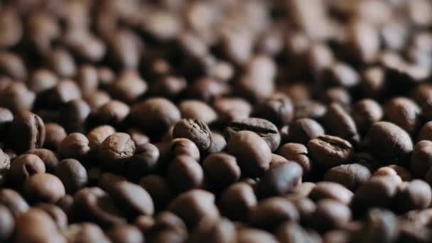 ダークコーヒーの穀物 回転と落下 コーヒー豆 コーヒーの種を閉じます コーヒーの美しい種 — ストック動画