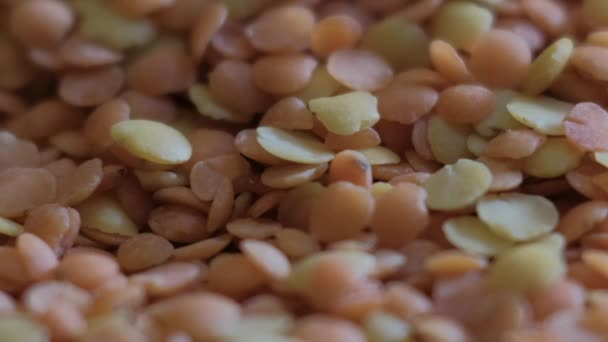 Uma Pilha Lentilhas Amarelo Alaranjadas Caindo Fundo Macro Lentils Dieta — Vídeo de Stock