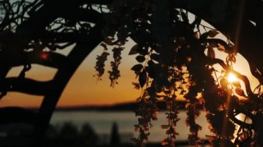 Gün batımında bir iskelede duran çelenkle süslenmiş yuvarlak bir kemer.