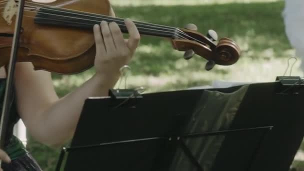 Violinista Menina Tocando Violino Livre Folhas Verdes Voltadas Para Trás — Vídeo de Stock